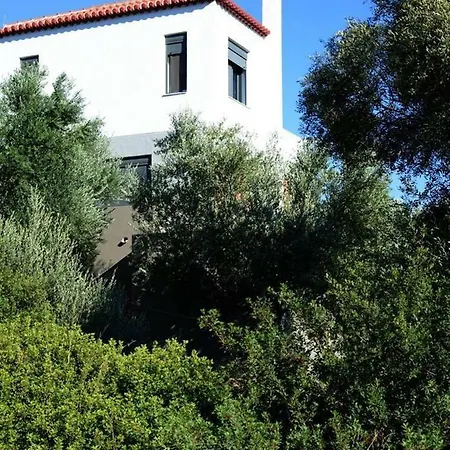 Liofyto - Stylish With Views To Foinikounda Bay *